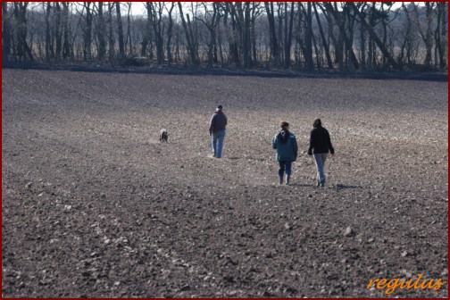 Fährtenprüfung Nordholz Frühjahr 2011